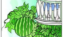 西瓜的自述作文