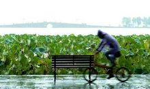 杭州的雨