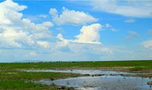 我拥有一片蓝天