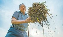 我渴望成为科学家