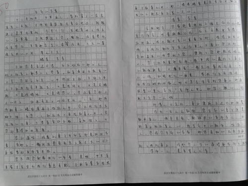 知更鸟的天堂撰写作品