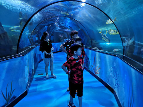 海洋世界旅行须知