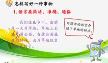 我眼中的缤纷世界例文三年级