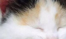 愿每一个生命都被温柔对待