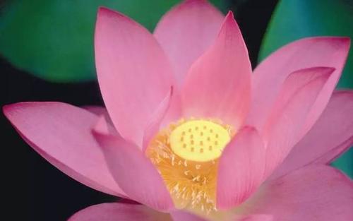 那句话常常藏在心里