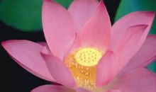 那句话常藏心间