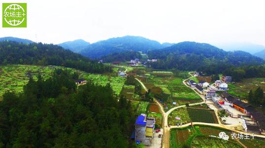 乡村变迁