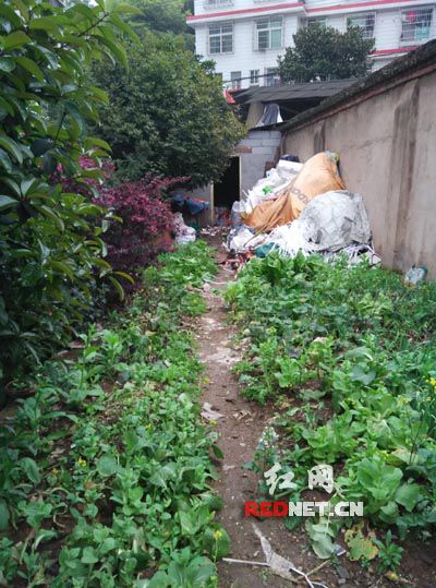 报废的春天