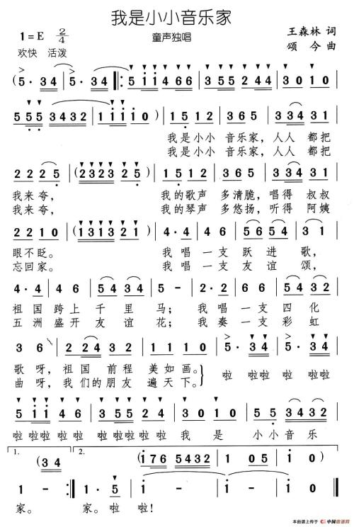 我是一个小音乐家