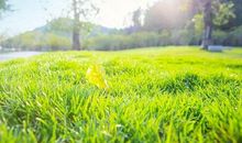 幸福由心不由境