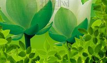 心灵深处的一抹绿