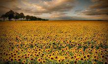 心灵美才是真的美