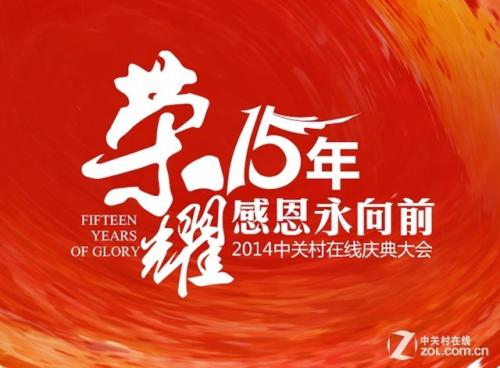 十五年