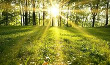 家乡的阳光也灿烂