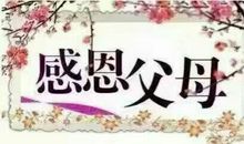 感谢生命中有你