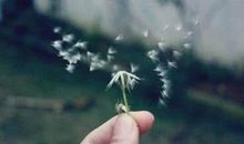 记忆是一缕阳光