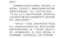 描写鹦鹉的作文