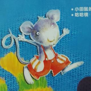 哈哈镜的诅咒