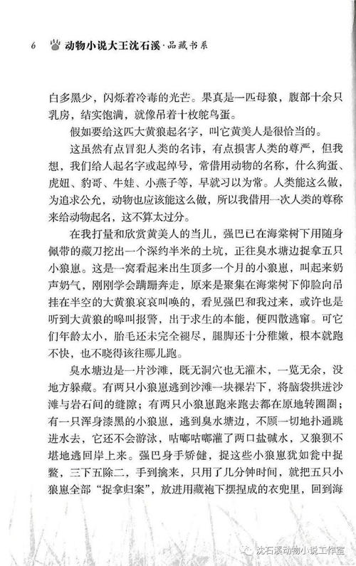 关于阅读《五只小狼》的思考