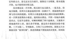 读《五只小狼》有感