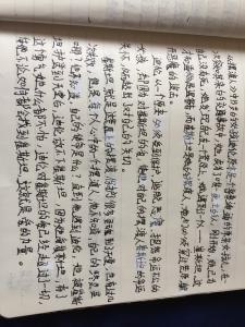 在《渡轮侠》上把握命运之船