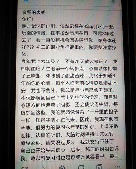 给祖国的一封信500字