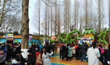 这个假期可真热闹