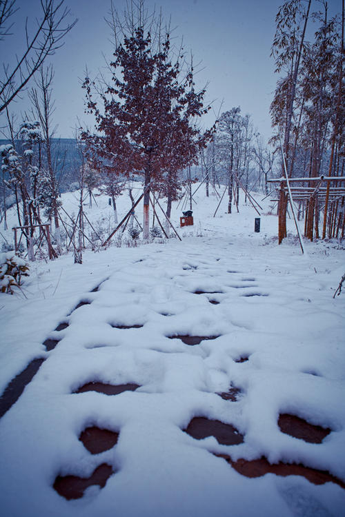 冬天的雪