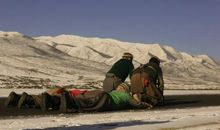 叫我如何不想他