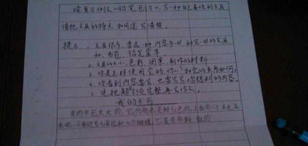 照片构图背后的故事600字