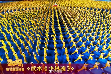 像少林武功