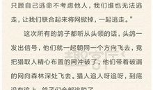 关于团结的作文