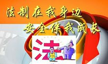 青春与法制携手文明与安全同行演讲稿