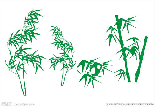 我是竹子
