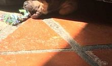 长大的感觉真好