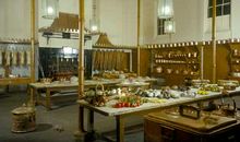 我家厨房是一个音乐厅