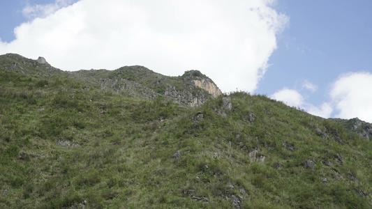 小青山