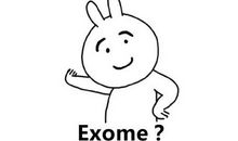 我真佩服我的妈妈