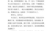 下雪的过程描写作文