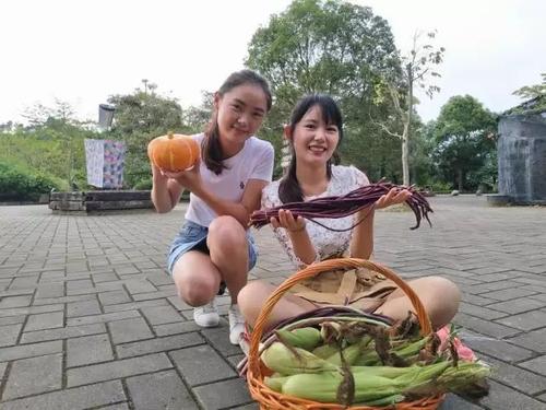 偷瓜
