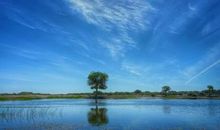 指路明灯亦为风景