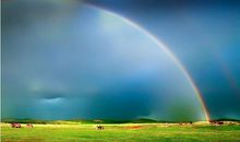 莫让心灵染尘埃