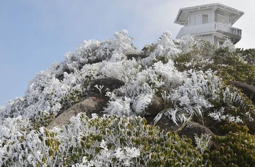 2020年的第一场雪