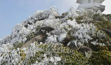 2020年的第一场雪