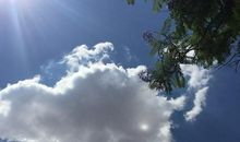 一点阳光也灿烂