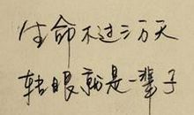 一路拼搏不曾后悔