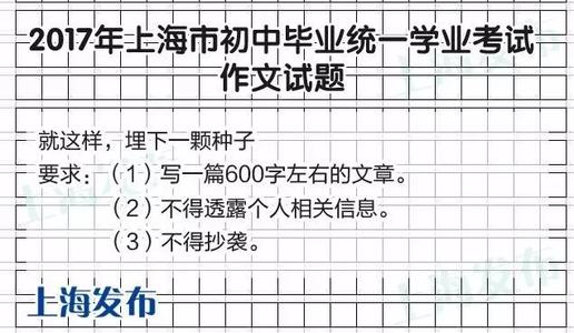 就这样种下温暖的种子
