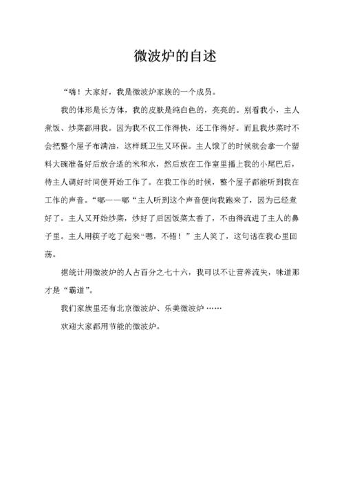 微波炉的自述文件
