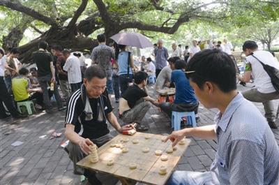 下棋的乐趣