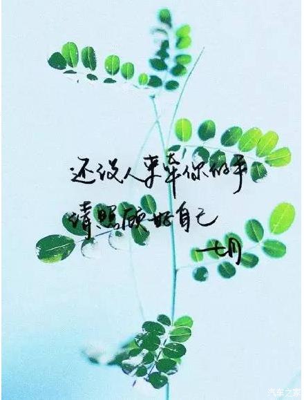 我期待六月的七月